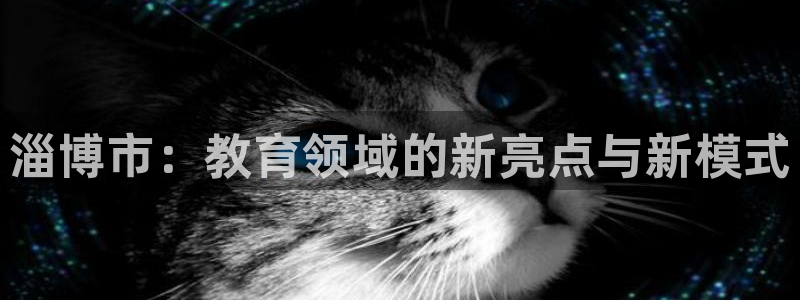 有人知道新宝5么