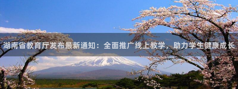 新宝5口67五壹叁八