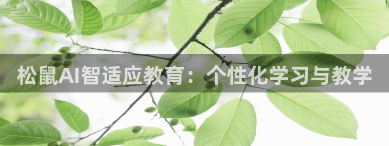 新宝5彩票平台登陆