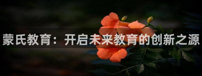 新宝股东王听2 5 5