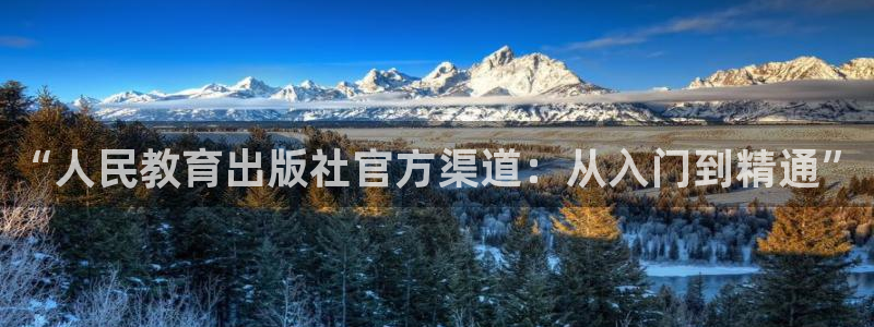 新宝5是什么样子的