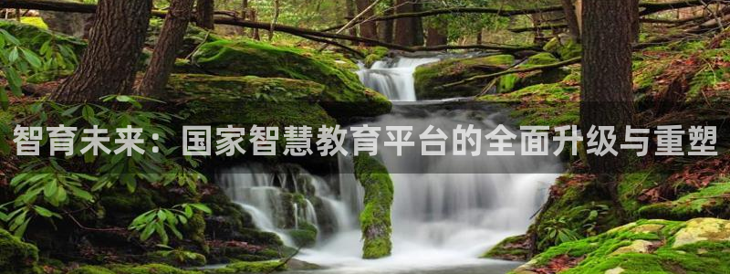 新宝5的网址